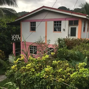 Anthurium Appartement